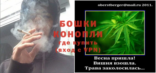 Альфа ПВП Пересвет
