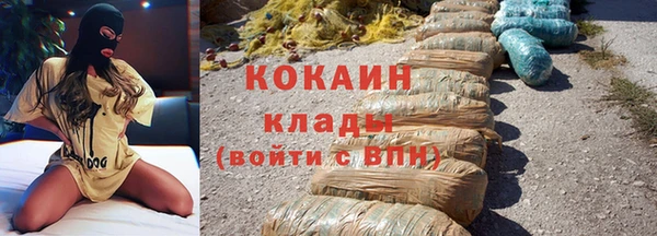 Альфа ПВП Пересвет