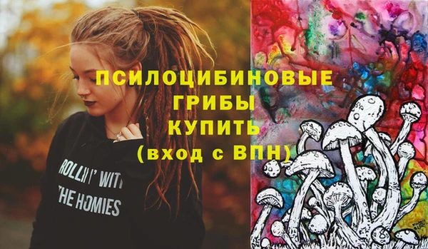 МДПВ Армянск