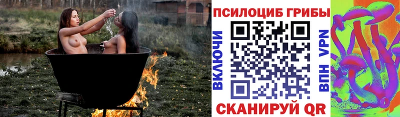 Псилоцибиновые грибы мицелий  Дыгулыбгей 